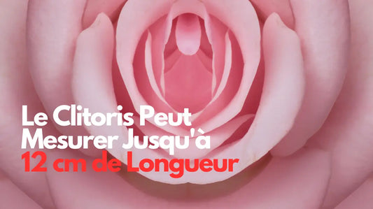 LE CLITORIS PEUT MESURER JUSQU’À 12 CM DE LONGUEUR!