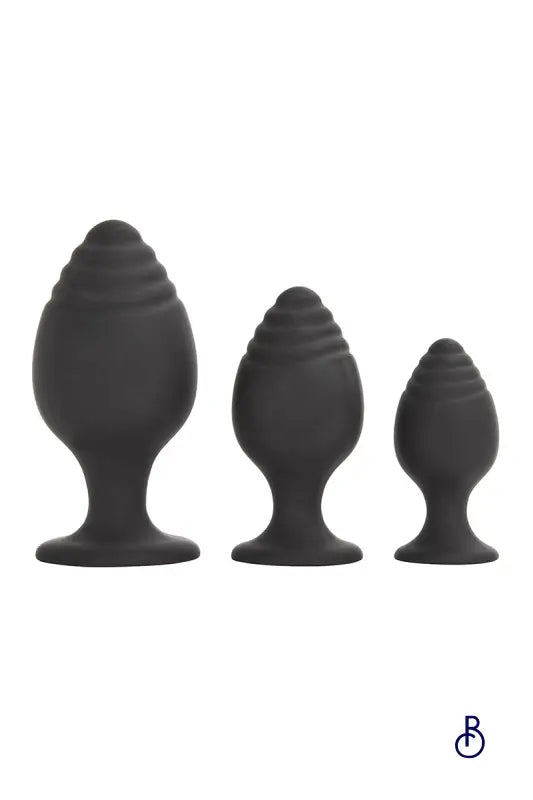 Coffret 3 plugs anal Les ravissants - Jacquie et Michel