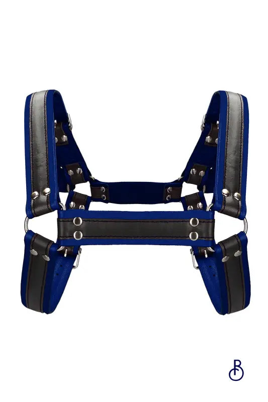 Harnais Buckle Bulldog Bleu - Boudoir Nimois