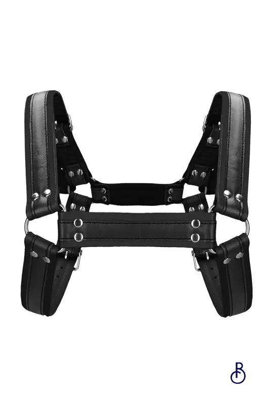 Harnais Buckle Bulldog Noir - Boudoir Nimois