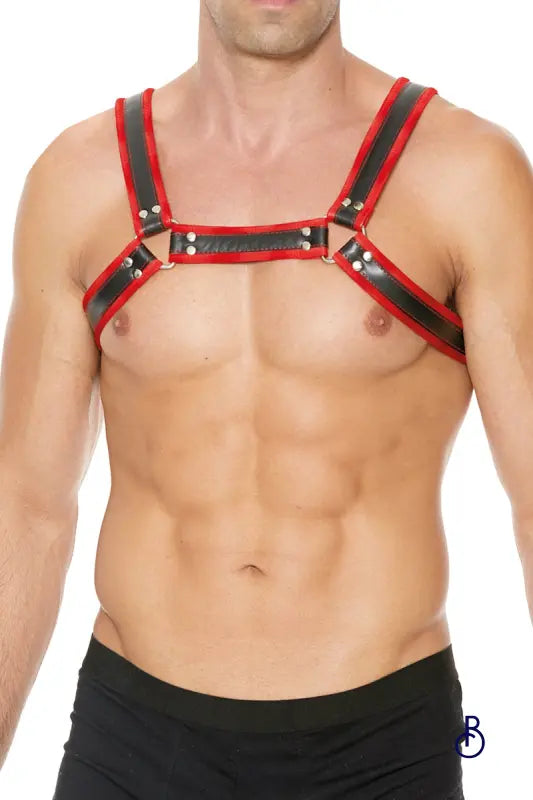 Harnais Buckle Bulldog Rouge - Boudoir Nimois