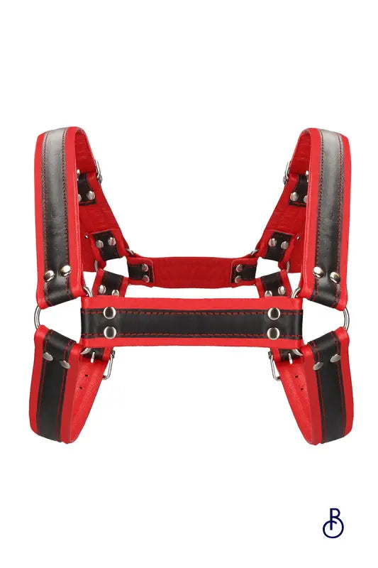 Harnais Buckle Bulldog Rouge - Boudoir Nimois