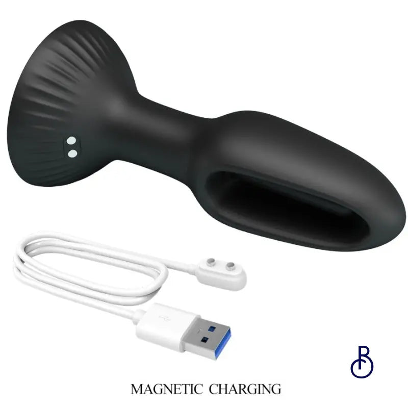 Plug Anal Hubert - Boudoir Nimois
